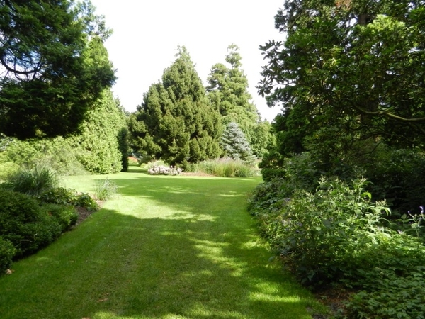 20120906.KalmthoutArboretum 024