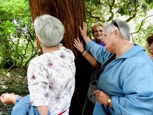 20120906.KalmthoutArboretum 026