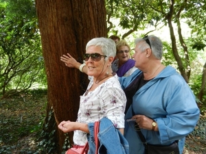 20120906.KalmthoutArboretum 027