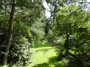 20120906.KalmthoutArboretum 028