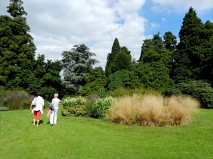 20120906.KalmthoutArboretum 035