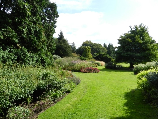 20120906.KalmthoutArboretum 044