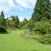 20120906.KalmthoutArboretum 050