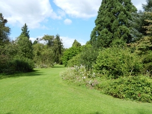 20120906.KalmthoutArboretum 050