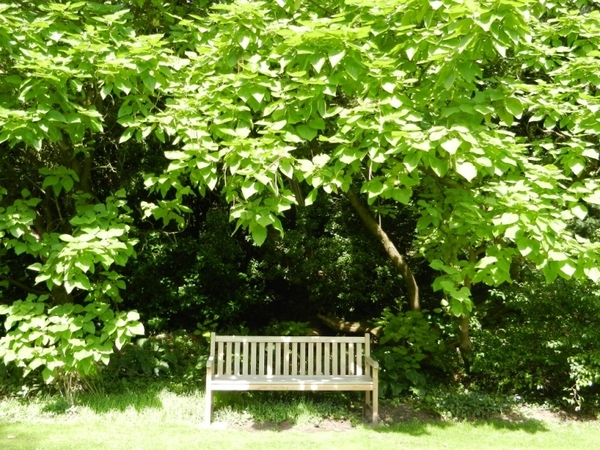 20120906.KalmthoutArboretum 055