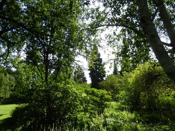 20120906.KalmthoutArboretum 076