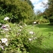 20120906.KalmthoutArboretum 097