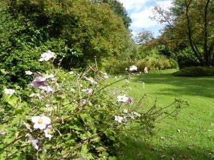 20120906.KalmthoutArboretum 097