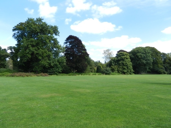 20120906.KalmthoutArboretum 111