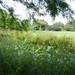 20120906.KalmthoutArboretum 115