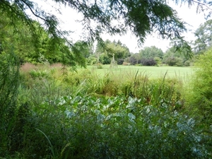 20120906.KalmthoutArboretum 115