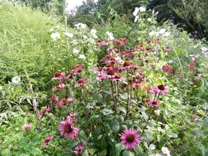 20120906.KalmthoutArboretum 123