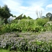 20120906.KalmthoutArboretum 124