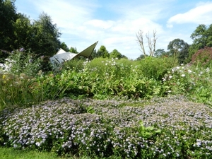 20120906.KalmthoutArboretum 124