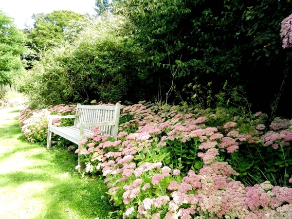 20120906.KalmthoutArboretum 125