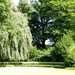 20120906.KalmthoutArboretum 126