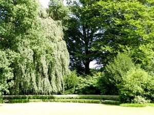 20120906.KalmthoutArboretum 126