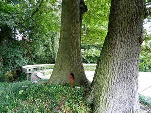 20120906.KalmthoutArboretum 128