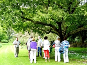 20120906.KalmthoutArboretum 129