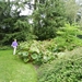 20120906.KalmthoutArboretum 149