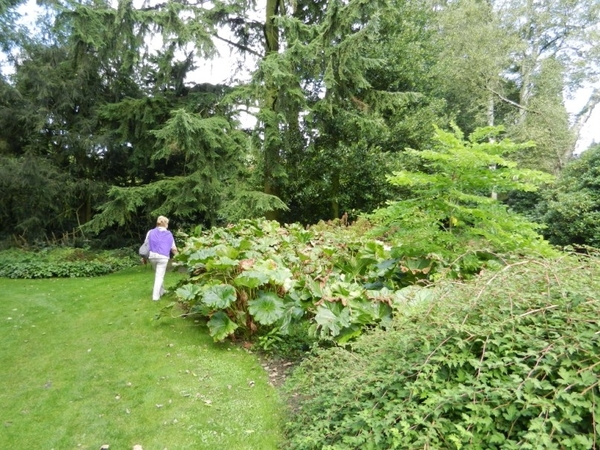 20120906.KalmthoutArboretum 149