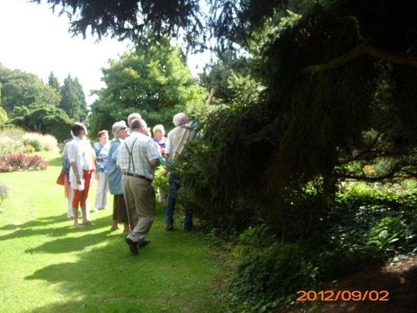 arboretum kalmthout  2012 028