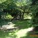 arboretum kalmthout  2012 037