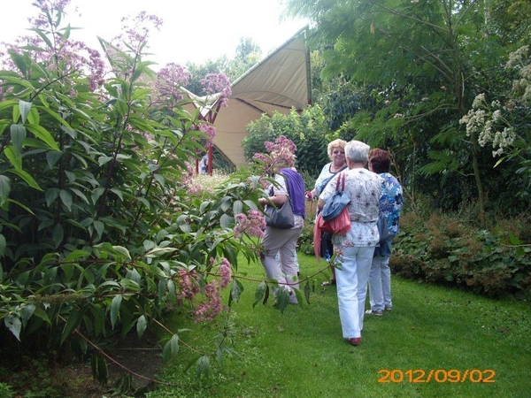 arboretum kalmthout  2012 053