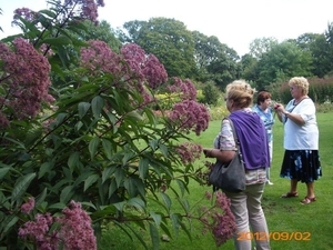 arboretum kalmthout  2012 055