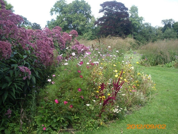 arboretum kalmthout  2012 056