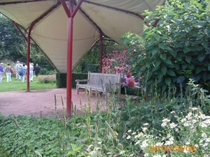 arboretum kalmthout  2012 057