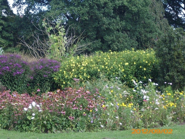 arboretum kalmthout  2012 060