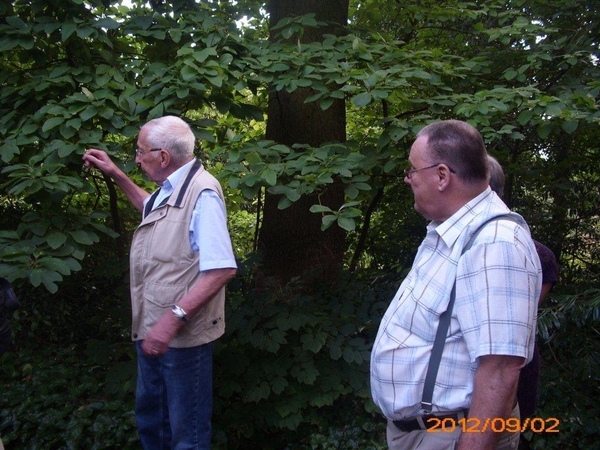 arboretum kalmthout  2012 079