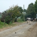 2012-09-10 Aaigem 008