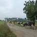 2012-09-10 Aaigem 010