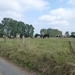 2012-09-10 Aaigem 021