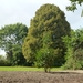 2012-09-10 Aaigem 023