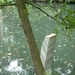 De Baders, Luciano Fabro