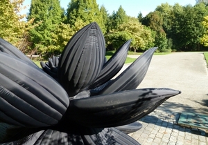 Black Lotus