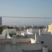 IMG_6823
