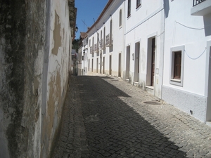 IMG_6560