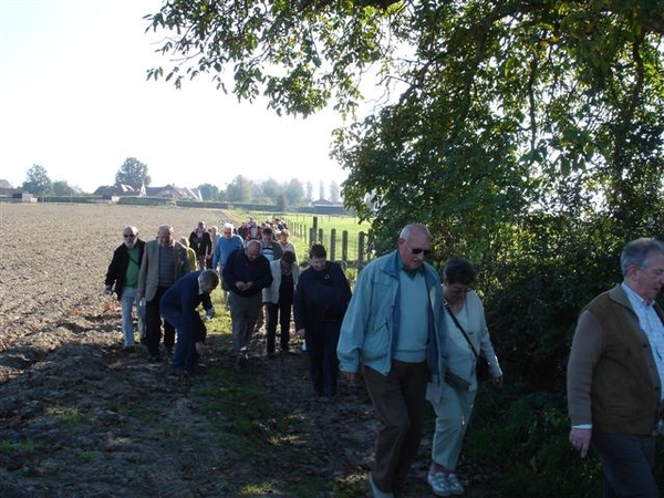 20111016 wandeling 't Hoomveld 002