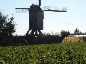 20111016 wandeling 't Hoomveld 007