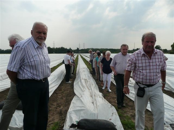 20110510 Klein Brabant asperges 076