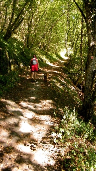 marche rando Vireux Molhain France