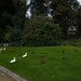 2012-09-12 Aalst 003