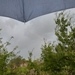 2012-09-12 Aalst 004