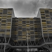 Leiden. Black and Yellow