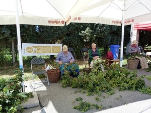 04-Hop van de ranken plukken....