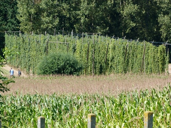 27-Rankskenswandeling